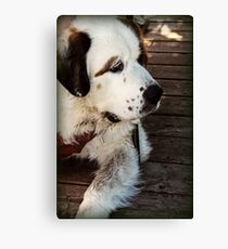 Olaf Canvas Print