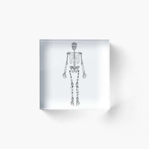 Typographical Skeleton Acrylic Block