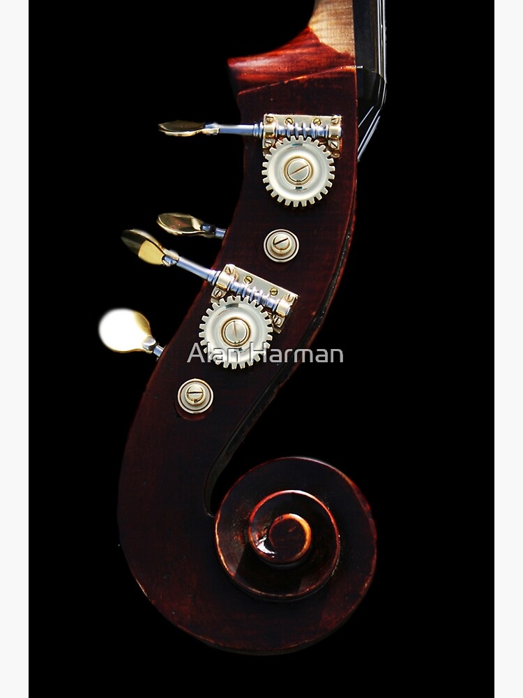 Bass 2 by AlanHarman