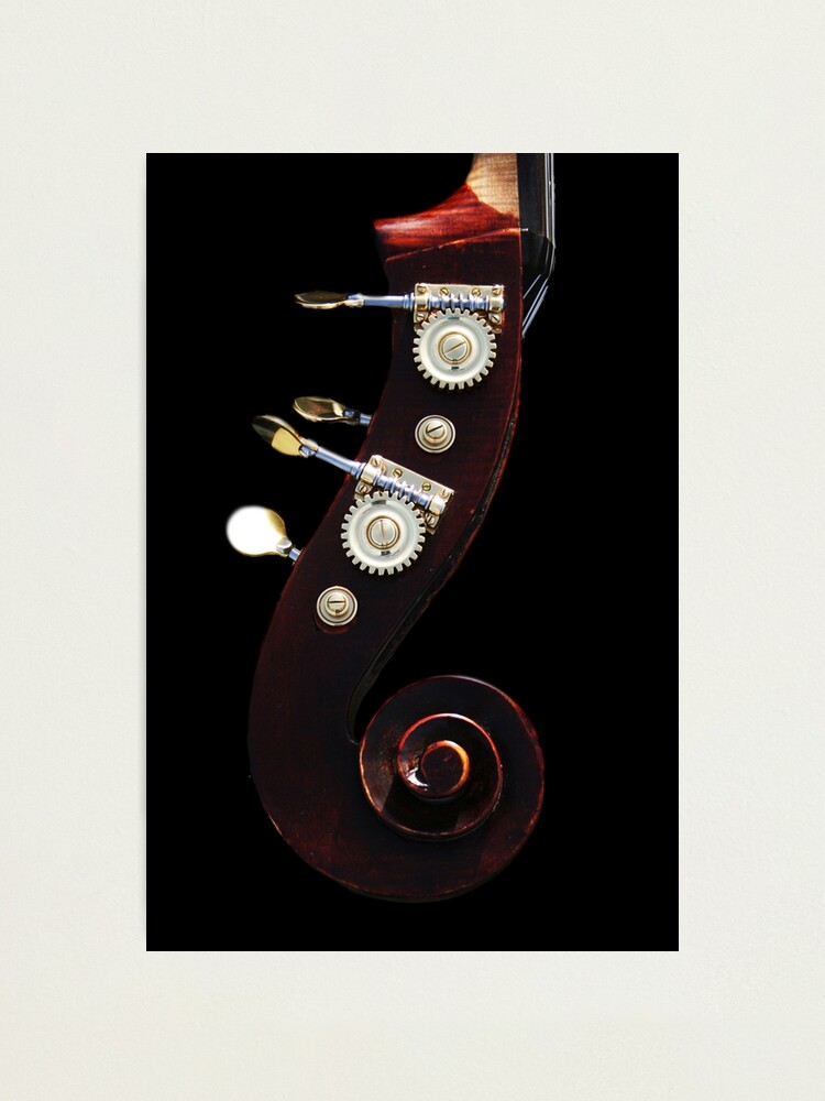 Alternate view of Bass 2 Photographic Print