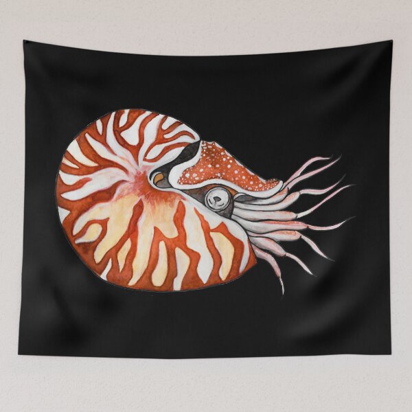 Item preview, Nautilus designed and sold by Natasha Mansfield.