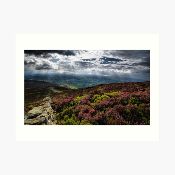 Moel Famau View Art Print