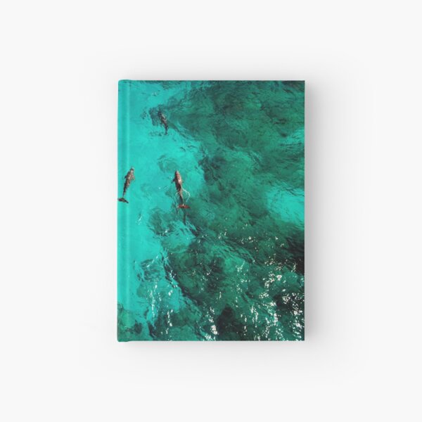 Dolphins Playing near Isla Mujeres Hardcover Journal