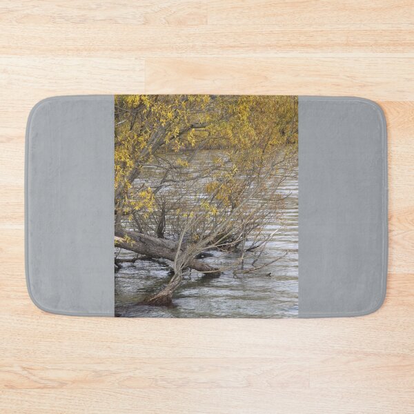 Item preview, Willow Water designed and sold by coffeebean.