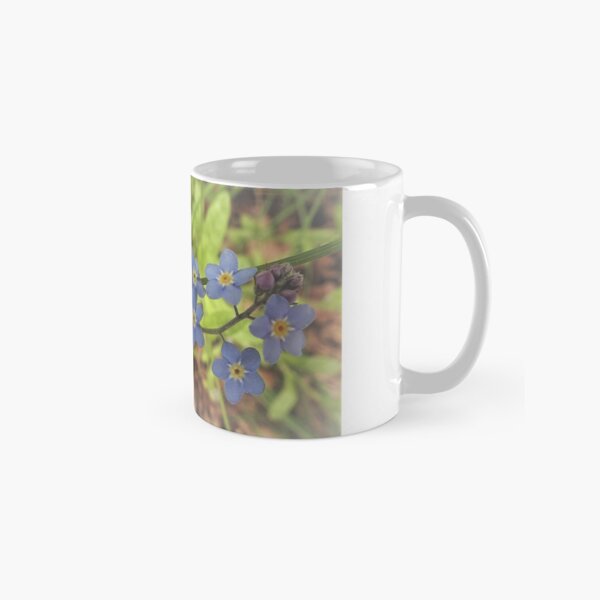 Myosotis Scorpioides Gifts Merchandise Redbubble