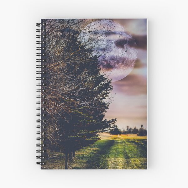 Item preview, The Path to the Moon designed and sold by Gbenonys Art.
