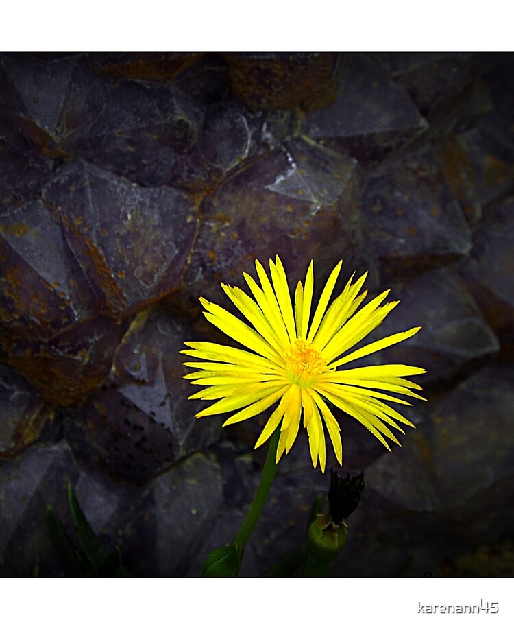 Flowers Between The Rocks Ipad Case Skin By Karenann45 Redbubble