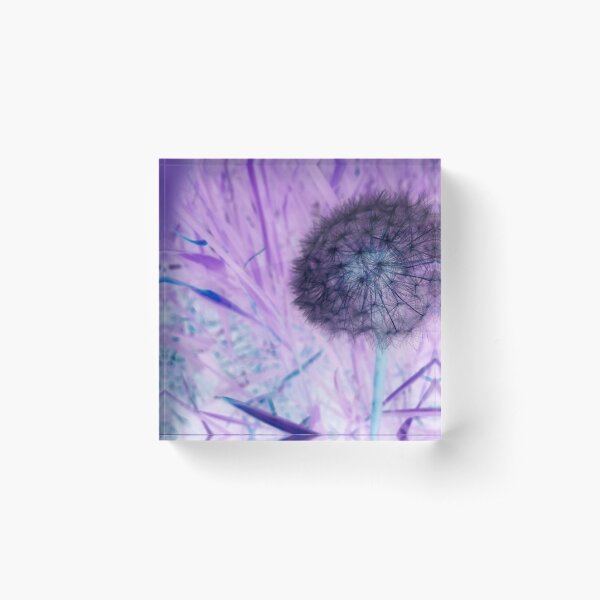 Item preview, Make a wish dandelion designed and sold by Jessie Williams.