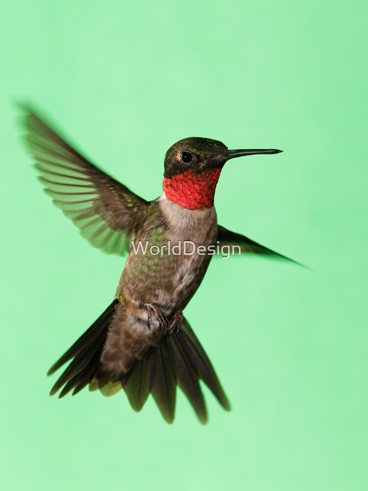 Thumbnail 4 of 4, iPhone Case, Ruby Throated Hummingbird designed and sold by WorldDesign.