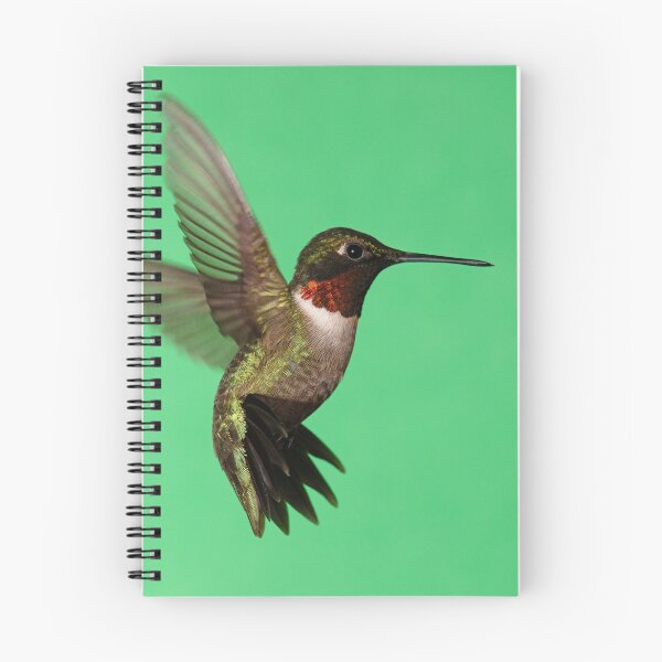 Item preview, Ruby Throated Hummingbird designed and sold by WorldDesign.