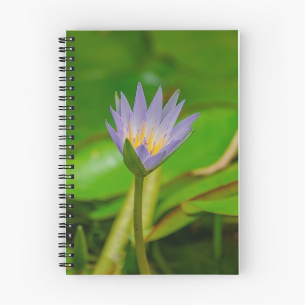 Item preview, Nymphaea caerulea, blue Egyptian lotus designed and sold by Martin Leber.