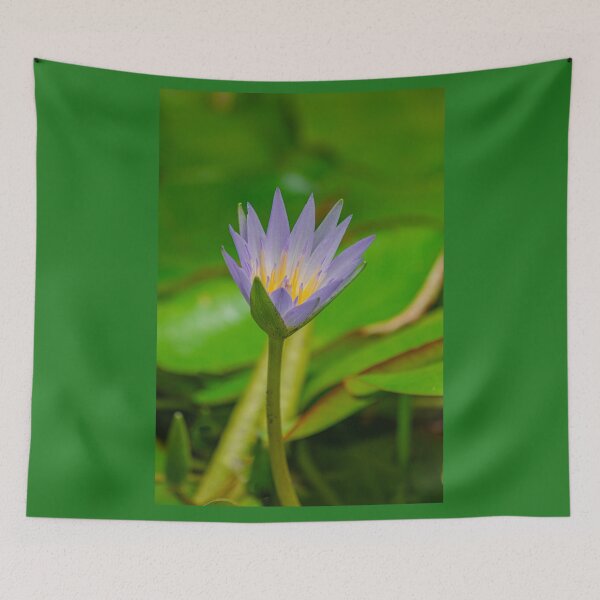Item preview, Nymphaea caerulea, blue Egyptian lotus designed and sold by Martin Leber.