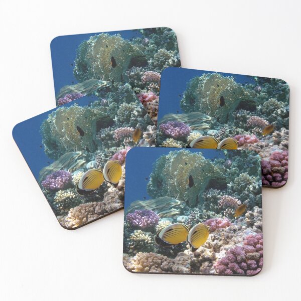 Red Sea Exquisite Butterflyfish And Colorful Corals Coasters (Set of 4)