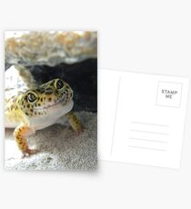 Gecko Smile Postkarten