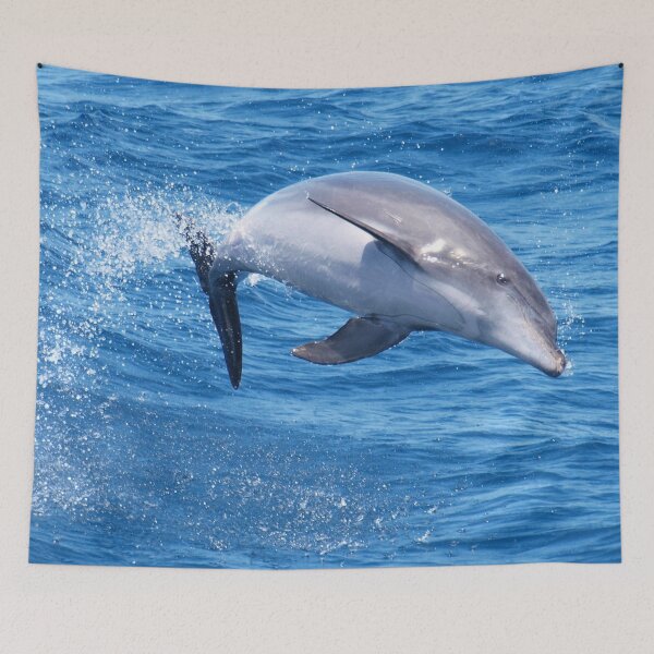 Item preview, Joyful Bottlenose dolphin  designed and sold by Chloé Yzoard.