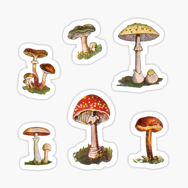 stickers champignons - Stickers Malin
