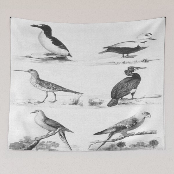 Item preview, 6 extinct North American birds designed and sold by ZoologyKat.