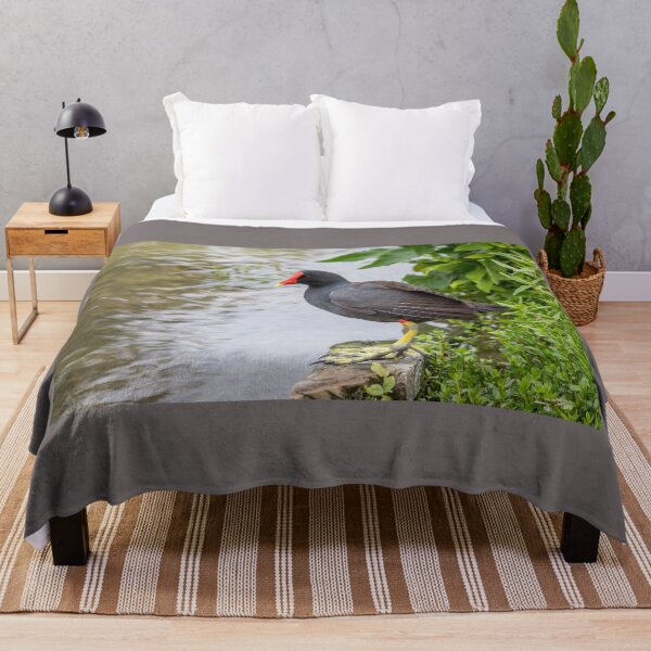 Item preview, Common Gallinule at Edge of Water designed and sold by Debra Martz.
