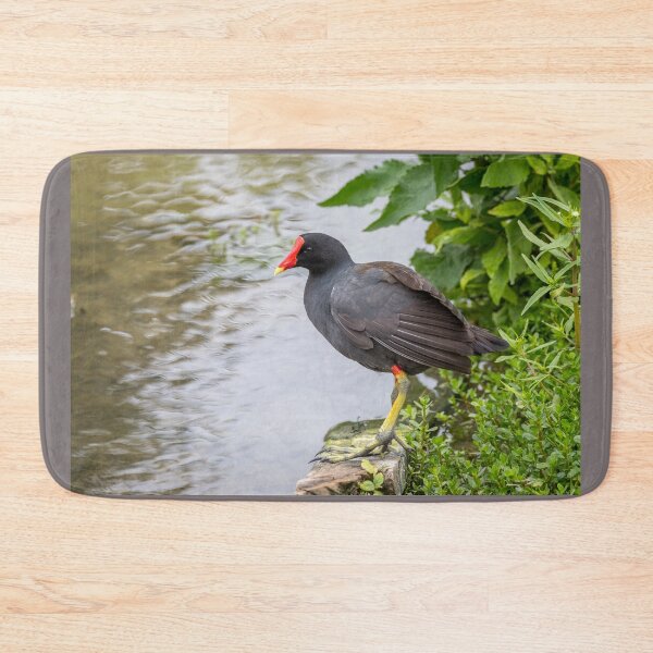 Item preview, Common Gallinule at Edge of Water designed and sold by Debra Martz.