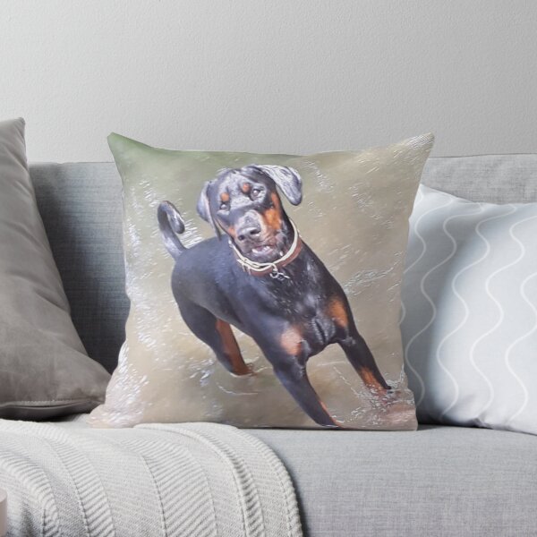 T'water boy Throw Pillow