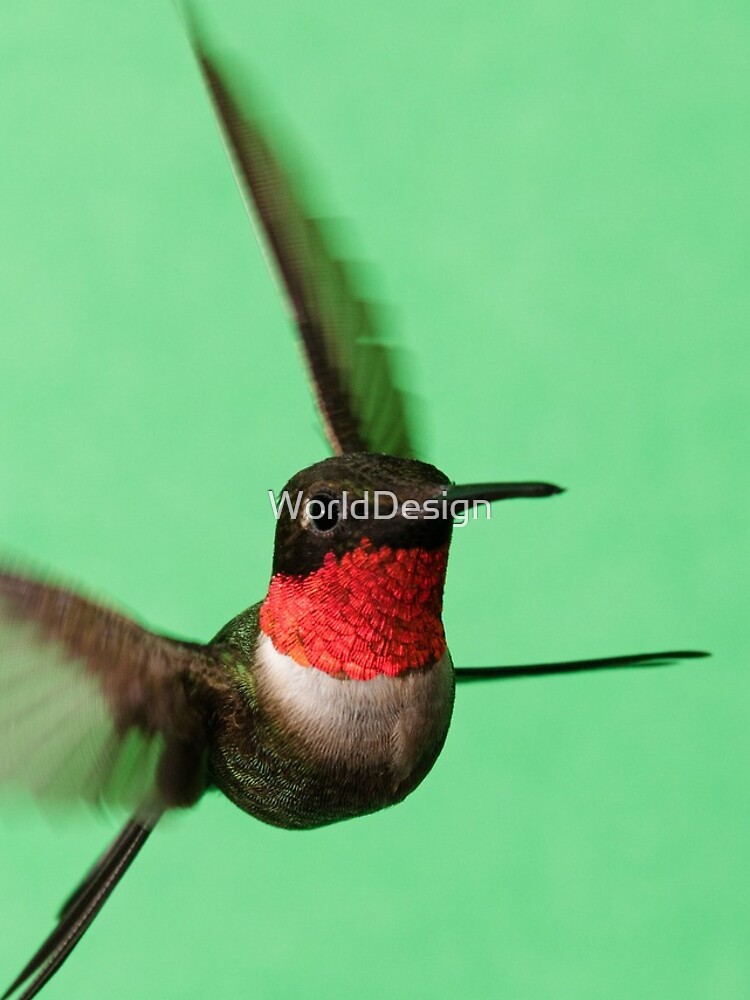 Thumbnail 4 of 4, iPhone Case, Ruby Throated Hummingbird designed and sold by WorldDesign.