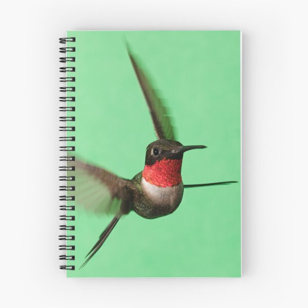 Item preview, Ruby Throated Hummingbird designed and sold by WorldDesign.