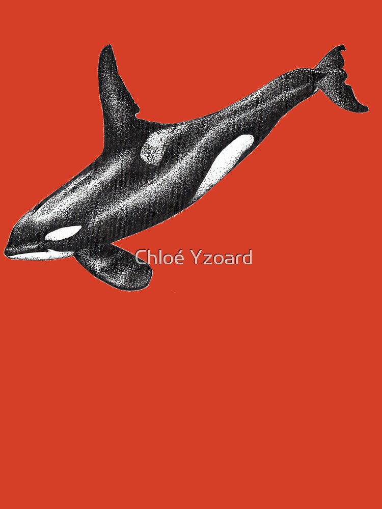 Orca killer whale Water Bottle by Chloe Yzoard