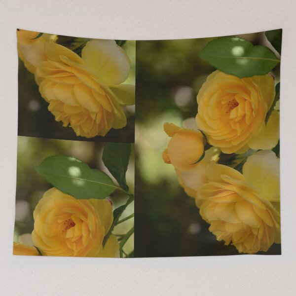 Item preview, Gorgeous Roses - David Austin's, 'Graham Thomas'  designed and sold by imaginethis.