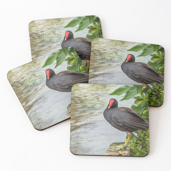 Item preview, Common Gallinule at Edge of Water - Painterly designed and sold by Debra Martz.