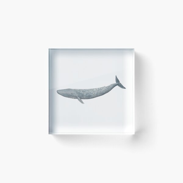 Item preview, Blue whale  designed and sold by chloeyzoard.