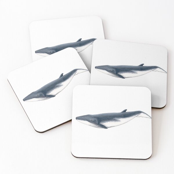 Item preview, Bryde´s whale baby designed and sold by chloeyzoard.