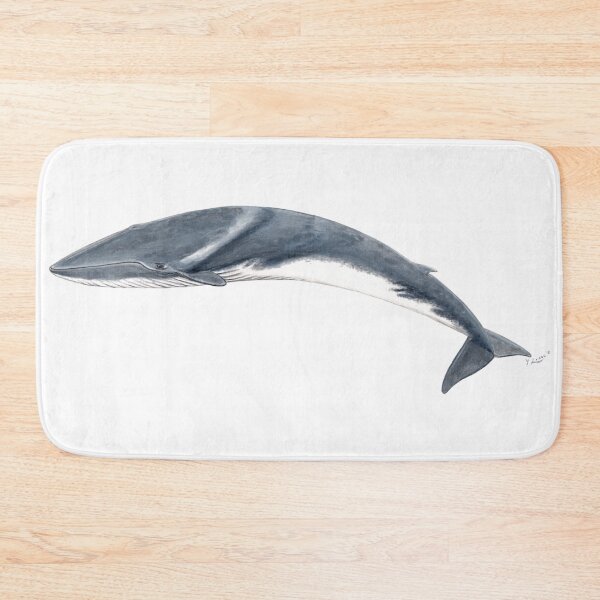 Item preview, Fin whale calf designed and sold by chloeyzoard.