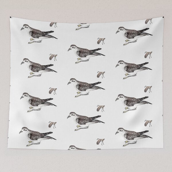 Item preview, White-faced Storm-petrel  designed and sold by chloeyzoard.