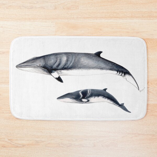 Item preview, Minke whale designed and sold by chloeyzoard.