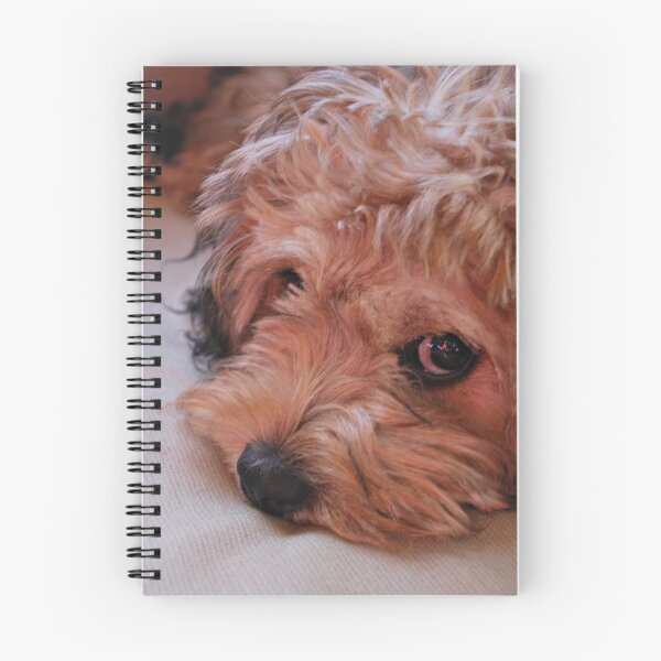 Item preview, Stella Say What? designed and sold by SusanneFerrante.