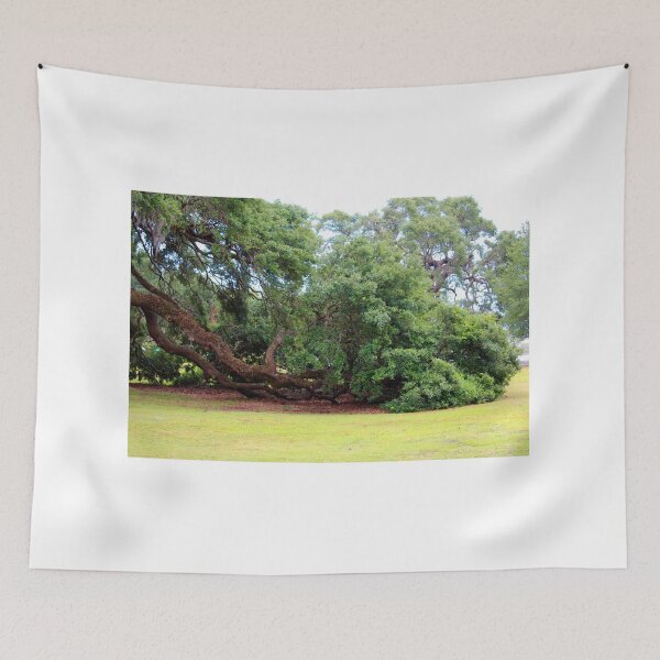 Item preview, Oak Limbs On The Ground designed and sold by Cynthia48.