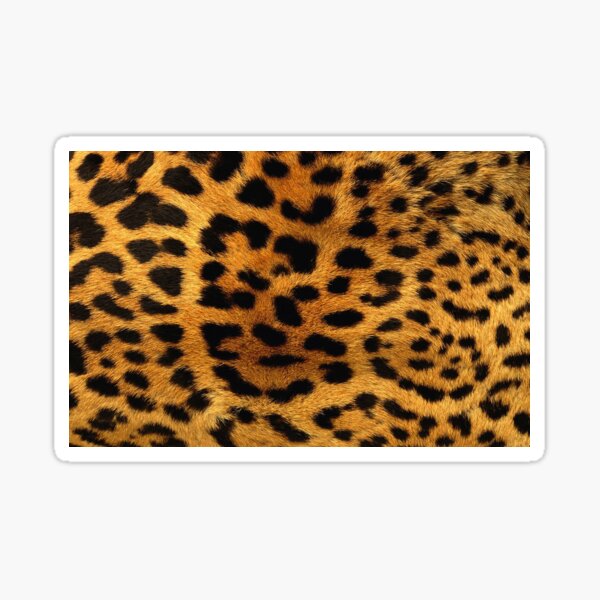 Leopard Products Stickers Redbubble - leopard roblox template