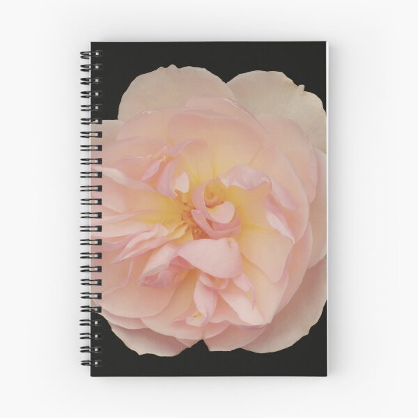 Item preview, Single rose  designed and sold by Feltonmackem.