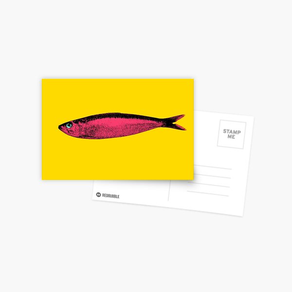 Pink sardine Postcard