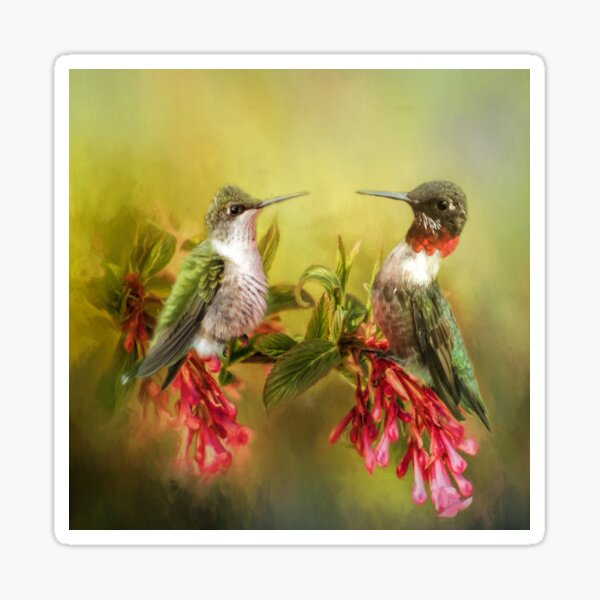 Ruby Throated Hummingbird Pair Sticker