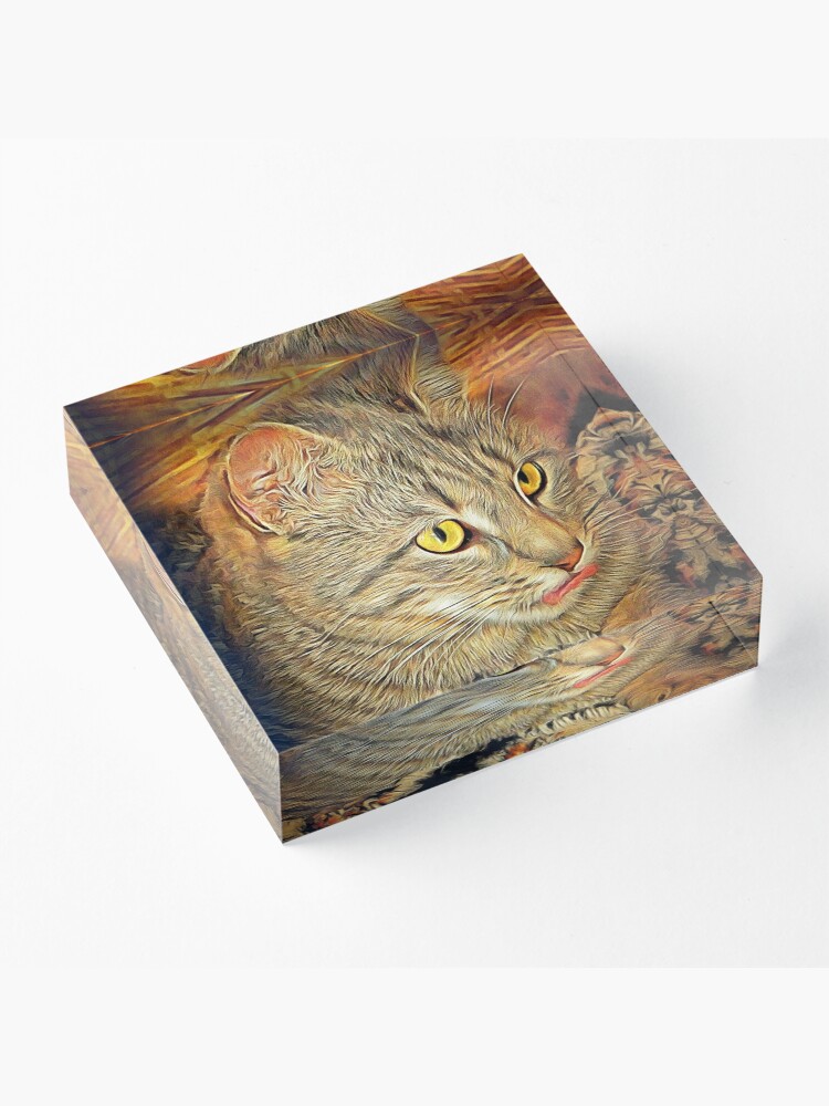 Alternate view of The Interrupted Wash Acrylic Block