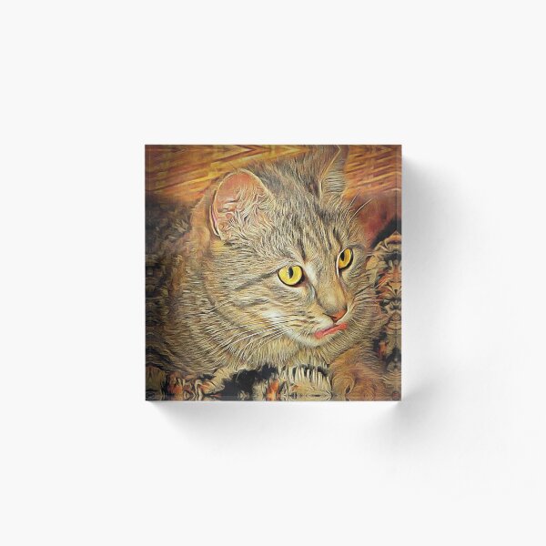 The Interrupted Wash Acrylic Block