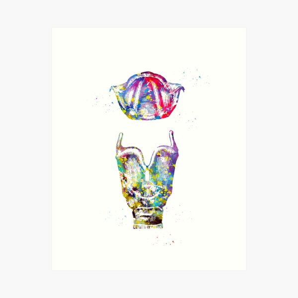 Item preview, Larynx, larynx and vocal cord designed and sold by Liededrom..
