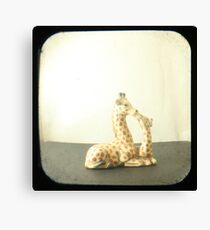 Giraffe Love TTV Canvas Print