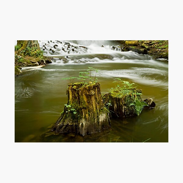 Item preview, Tree trunk in the river designed and sold by Quasebart.