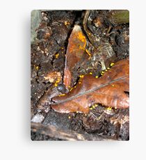 Little golden goblets of slime Canvas Print