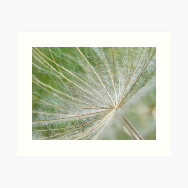 fluffy Art Print