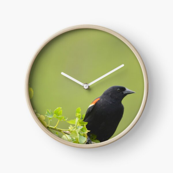 Item preview, red wing black bird designed and sold by Drgnfly4free.