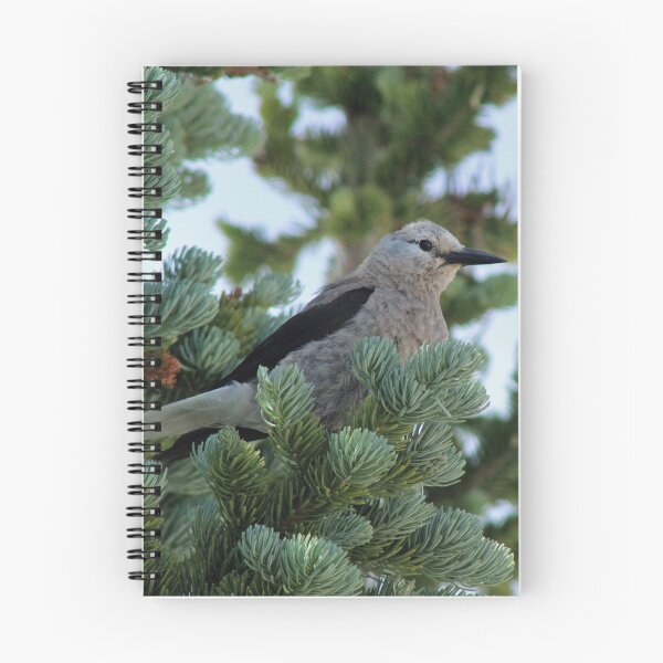 Item preview, Feathered Beauty designed and sold by KHartmann.