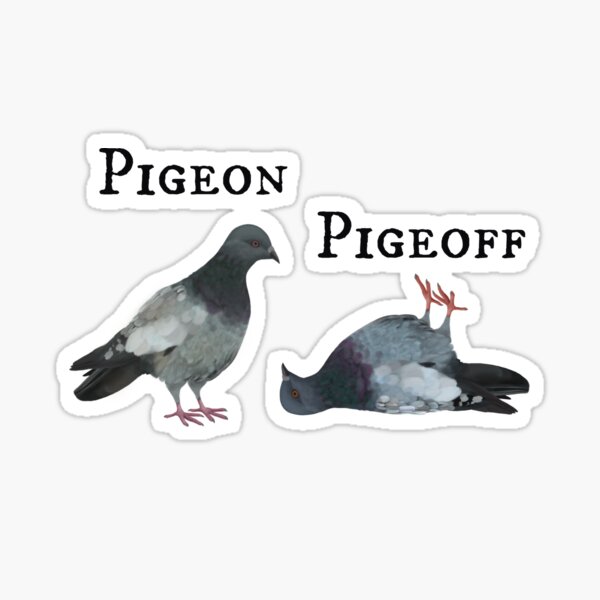 Dove / Pigeon Pigeoff / Taube on off Sticker
